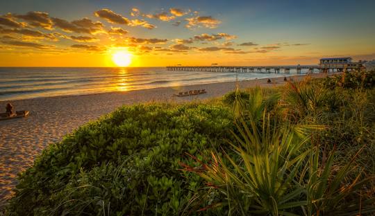 Roofing Contractor - Lake Worth Beach, FL